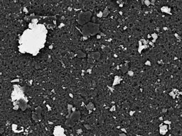 back-scattered image
of metallic, mineral and organic particles on a filter